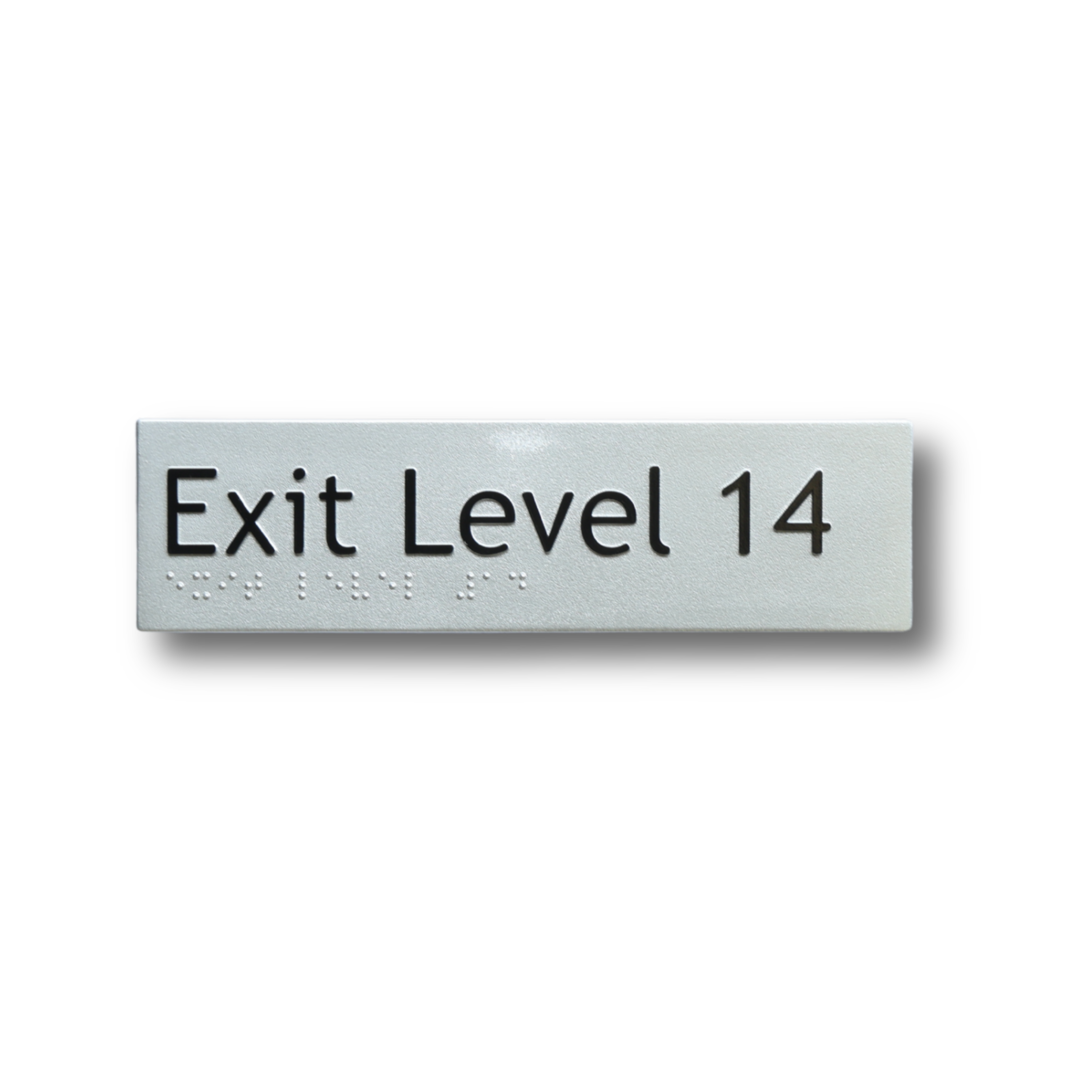 Braille Exit Level 14