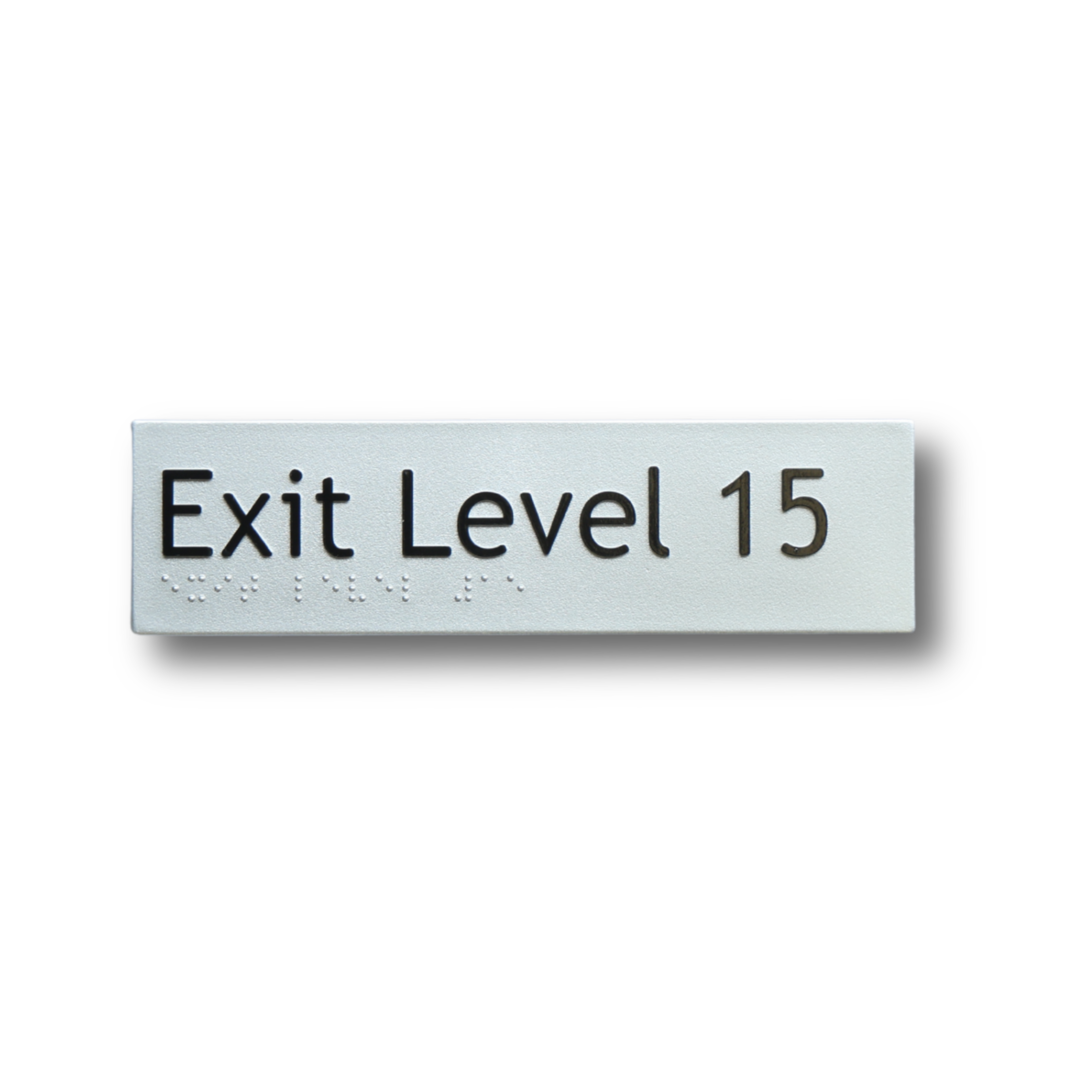 Braille Exit Level 15