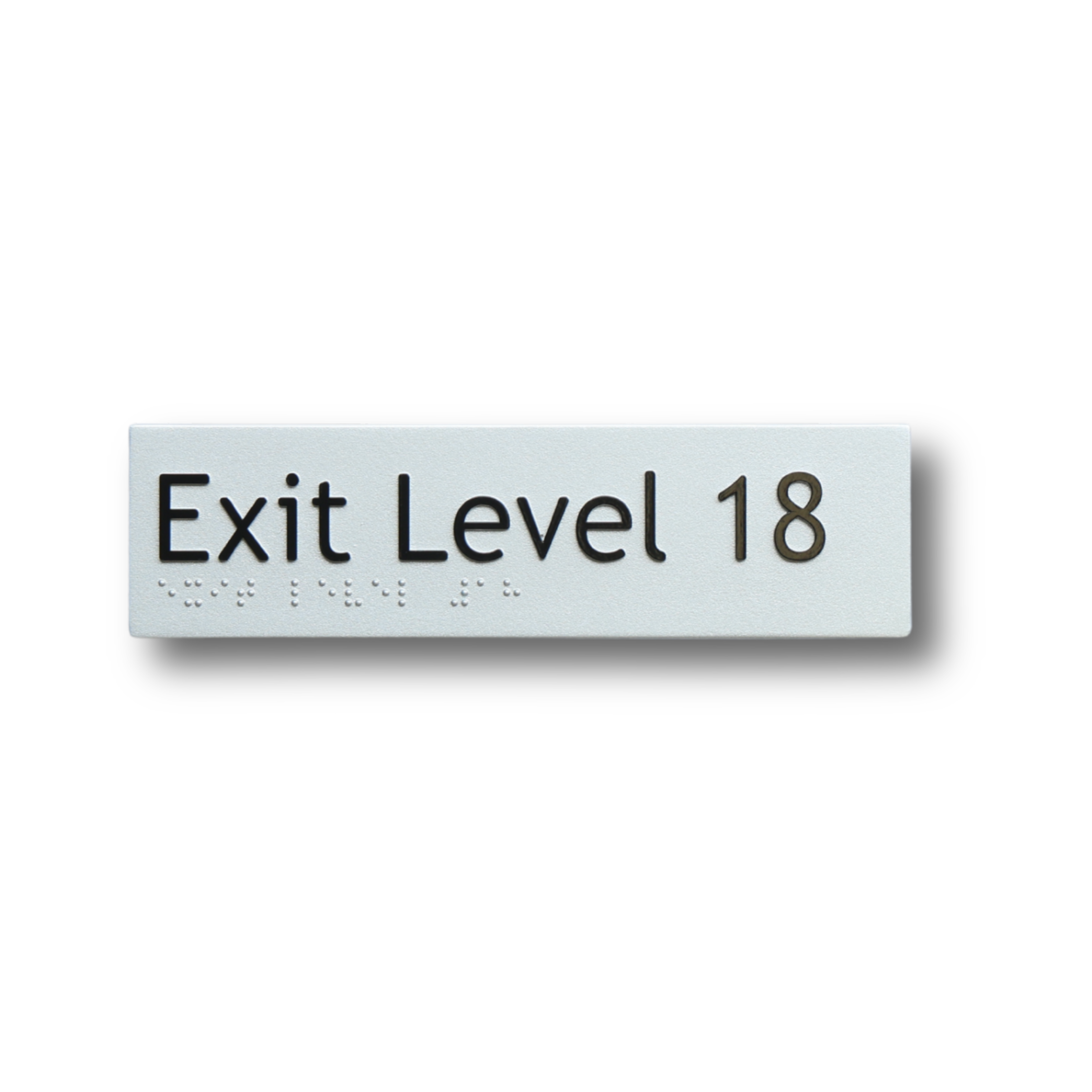 Braille Exit Level 18